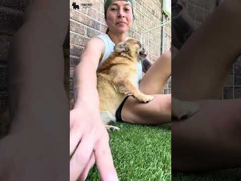 Video 2