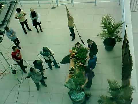 9am live video Tuesday, ‎27 ‎October ‎2009