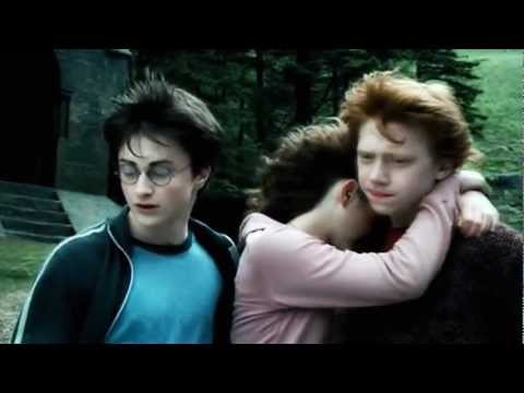 Light Up The Sky ○ Friendship [collab w/ Kiwiichann&vicu1904]