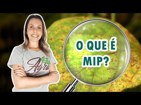 O que é MANEJO INTEGRADO DE PRAGAS  | Dicionário do Agro |