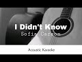 Sofia Carson - I Didn't Know (Acoustic Karaoke)