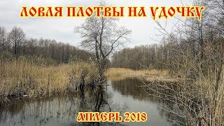 Ловля плотвы в апреле на что это