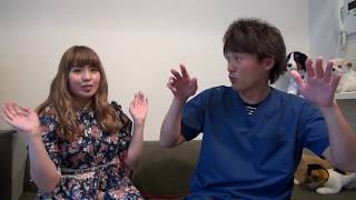 【シュガーペット＃20】新ゲストはリサメロディちゃん！愛猫のみゆちゃんも登場！