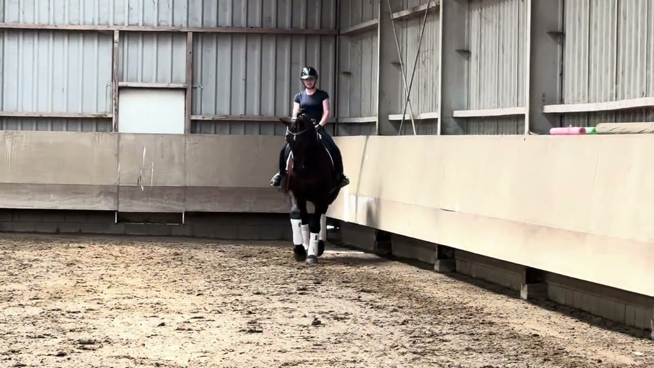 Ardento video 1