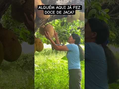 ROÇA SÃO FÉLIX DE MINAS.