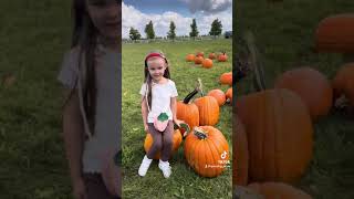 Pumpkin patch in Oswego, IL