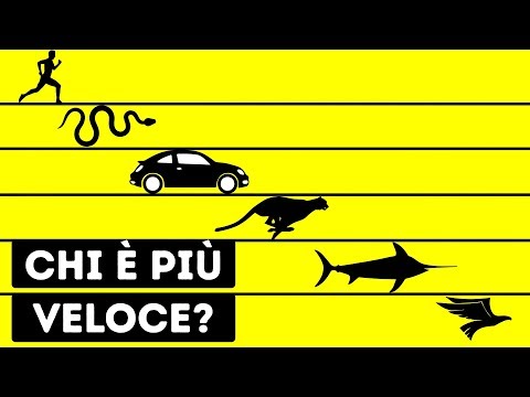 Chi È Il Più Veloce Essere Vivente Al Mondo?