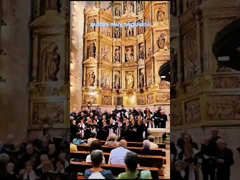 🙏🏻De , " Los Amigos "🫂San Sebastián, España 🇪🇸💐🧎.