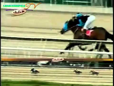 LA RINCONADA 1 CARRERA VIERNES 29 DE AGOSTO DEL 2014