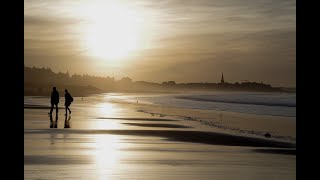 Asylum Party - Play Alone