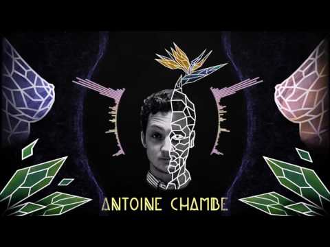 Festival Alphapodis - Antoine Chambe