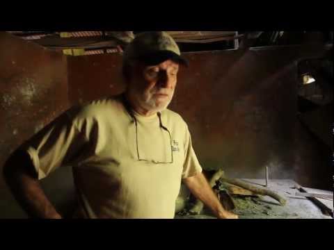 Rich Lipner's Cafés de la Luna