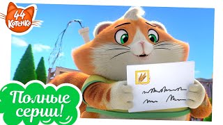 44 Котёнка - Пончик, кот-почтальон