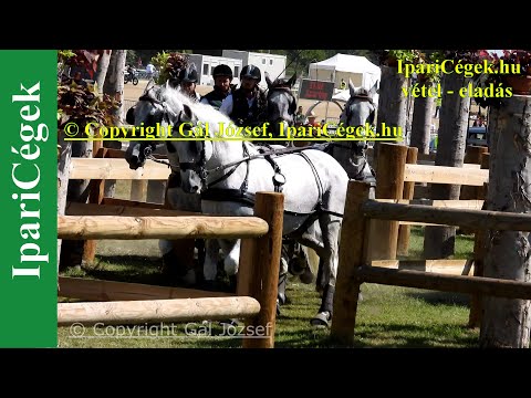 Fogathajtás, RAKOCZI Gergo (42), ROU, 3s, Marathon, 4K, Bp., 2021., sv4K210904-1-1812-220107