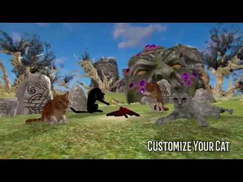 Cat Multiplayer Video