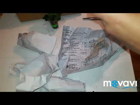 Распаковка посылки с растениями (черенки пеларгоний) unboxing