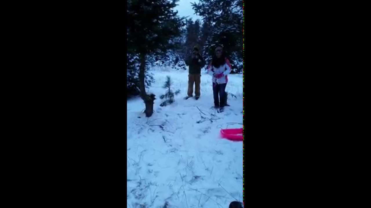 Epic Christmas Tree FAIL!