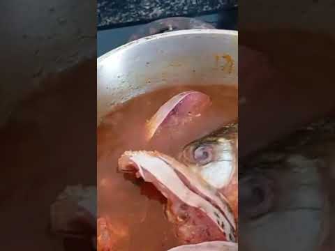 MATRINCHÃ AO MOLHO NO CAPRICHO! 🐟🥘 Alô Goiás e Mato Grosso! #shorts