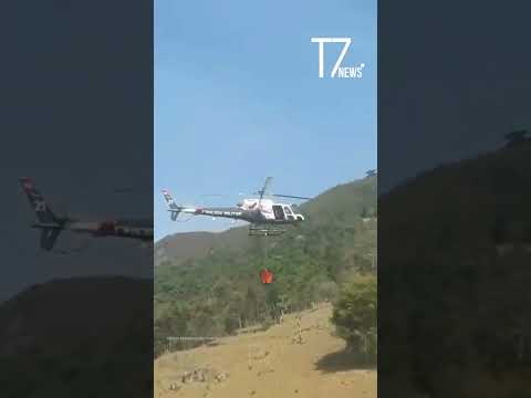 Incêncio atinge APA e mobiliza equipes de resgate em Cunha e São Luiz do Paraitinga