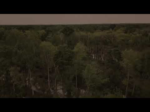 Lynched By Treason Trailer