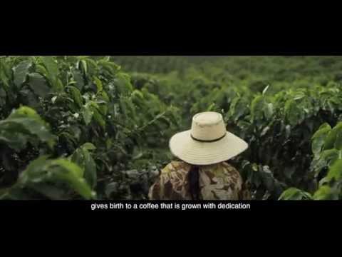 Juan Valdez® Café, Nuestro origen se vive em cada taza