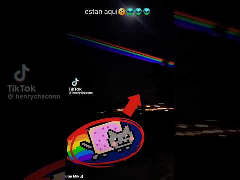 Cat#cat#rainbow#niancat