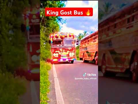 King Gost Bus modified sri lanka #fypシ゚viral #trending #viralvideo #viralshorts #srilanka #fyp