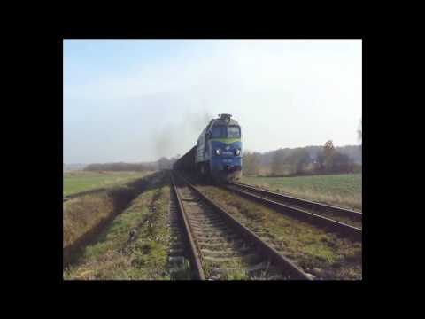 Linia 137 "Podsudecka"