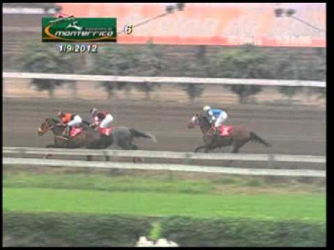 Clásico Pedro D. Gallagher (2.000 m) 2012: Triunfo de Lady Solange