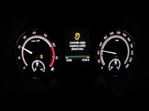 Skoda Octavia RS245 100/200 12”