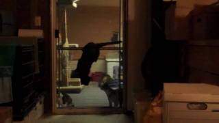 Boom Boom&#39;s Gone Wild