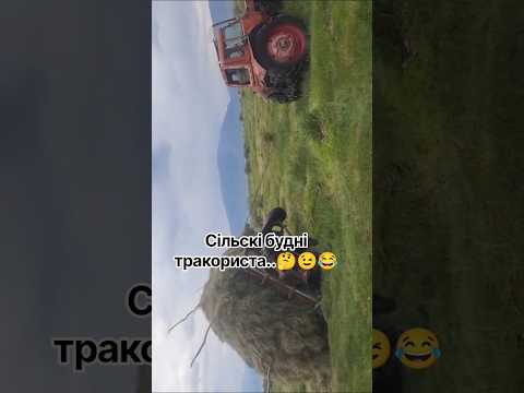 сільскі будні тракориста #трактор #село #гумор