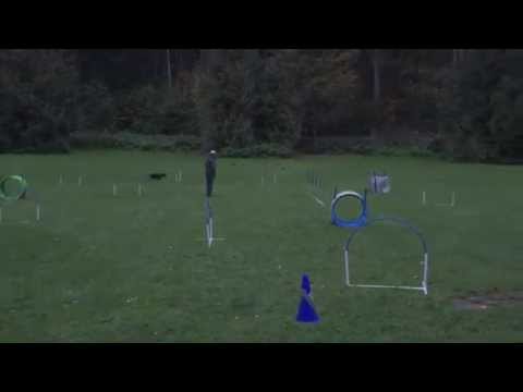 NADAC Hoopers-Agility Training 14. Oktober 2015 Bad Urach