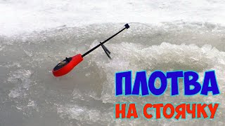 Зимняя рыбалка плотвы с кормушкой