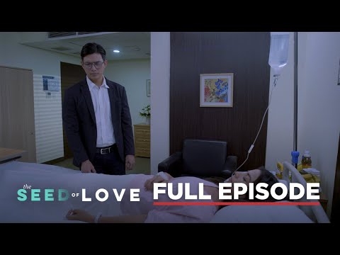 The Seed of Love: Full Episode 64 (August 4, 2023)