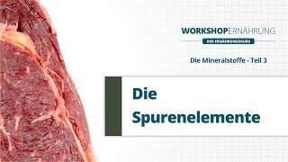 MINERALSTOFFE (3/3): Die Spurenelemente | Workshop Ernährung