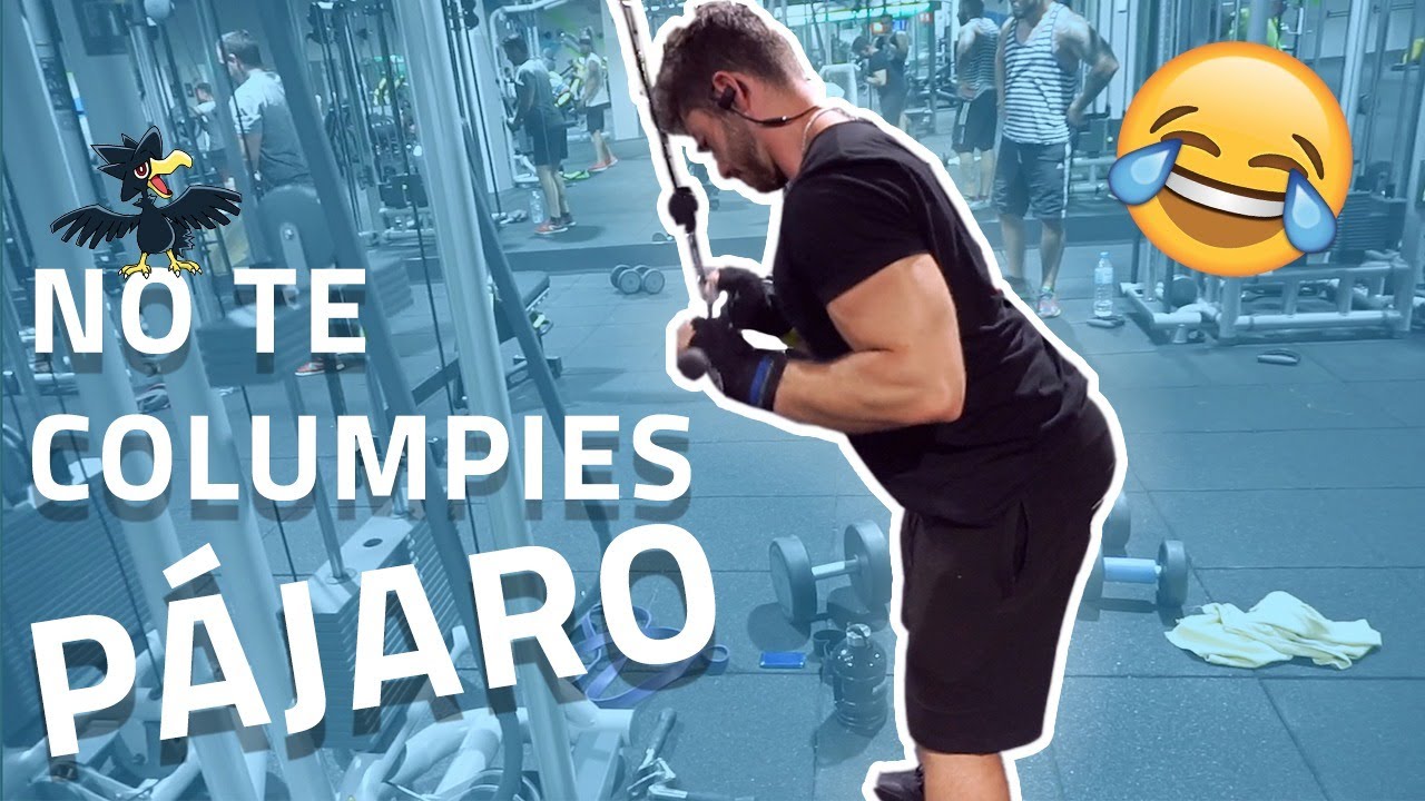 Extensión de triceps en polea en 1 minuto. FORTALECER TRÍCEPS