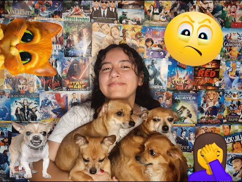 Día a día con mi jauría