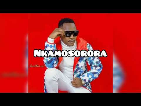 NAISANIRE KOBA PIPO - VEKTA