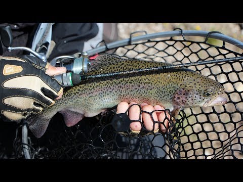 Stream 622SUL 1-5 грамм