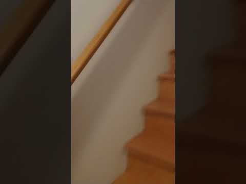 foray02 - Video 2 of 2