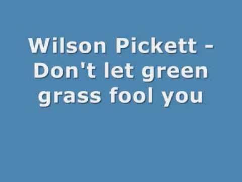 download lagu mp3 mp4 Don T Let The Green Grass Fool You Lyrics, download lagu Don T Let The Green Grass Fool You Lyrics gratis, unduh video klip Don T Let The Green Grass Fool You Lyrics