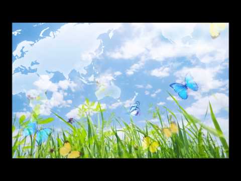 Sherman Noir - 100 000 Butterflies -