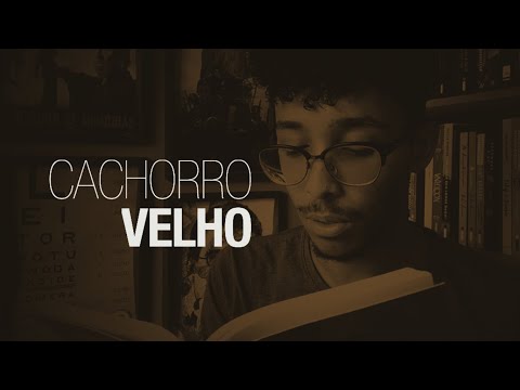 Conheça CACHORRO VELHO, da Teresa Cárdenas • Um Bookaholic