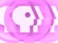 Warner Home Video And Pbs Dvd Logos 1998 Unknown