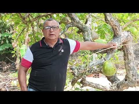 Testimonio Eulices Estepa Cedeño