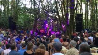Patrick Watson - Live at Pickathon, Woods Stage 8/5/2016 [clip]