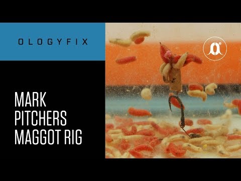 CARPologyTV - Rig of the Month: How to tie Mark Pitchers' Maggot Rig