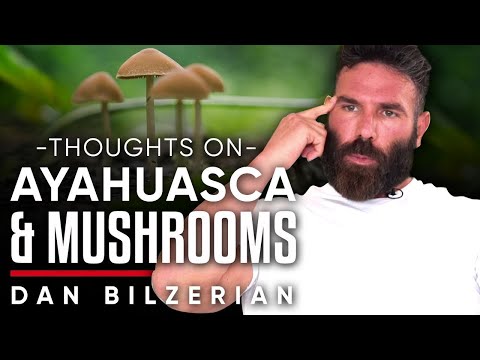 マシュルームを飲むときに考えること。ダン・ビルゼリアンがサイケデリックで学んだことを語る (WHAT I THINK ABOUT WHEN I TAKE MUSHROOMS: Dan Bilzerian Talks About What He Learned On Psychedelics)