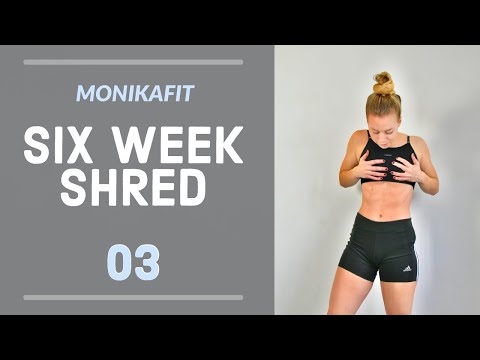 AB WORKOUT (No Equipment)  // 6 WEEK HOME SHRED